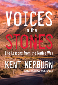 Cover image: Voices in the Stones 9781608683901