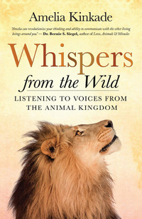 Imagen de portada: Whispers from the Wild 9781608683963