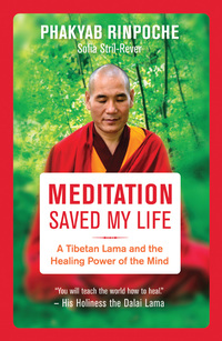 Imagen de portada: Meditation Saved My Life 9781608684625