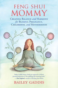 Cover image: Feng Shui Mommy 9781608684717