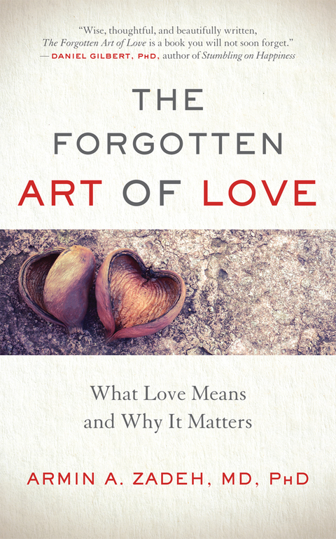 The Forgotten Art of Love: What Love Means and Why It Matters - FULL INSTANT DOWNLOAD | PDF DOCX EPUB