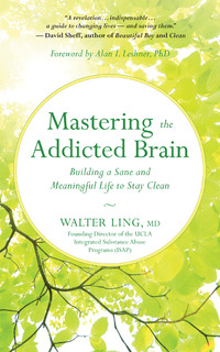 Cover image: Mastering the Addicted Brain 9781608685004