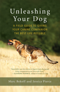 Cover image: Unleashing Your Dog 9781608685424