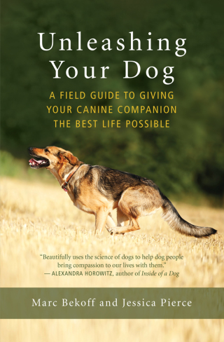 Omslagafbeelding: Unleashing Your Dog 9781608685424