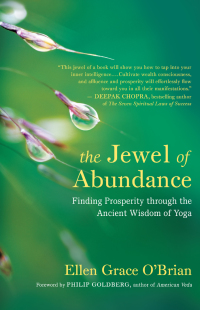 Cover image: The Jewel of Abundance 9781608685561