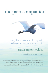 صورة الغلاف: The Pain Companion 9781608685707