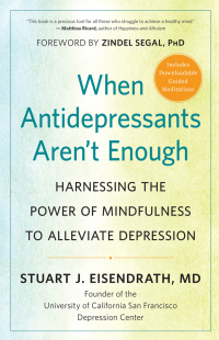 Imagen de portada: When Antidepressants Aren’t Enough 9781608685974