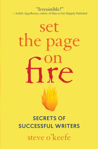 Cover image: Set the Page on Fire 9781608686117