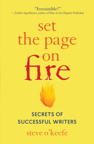 Cover image: Set the Page on Fire 9781608686117