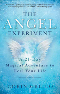 Omslagafbeelding: The Angel Experiment 9781608686254