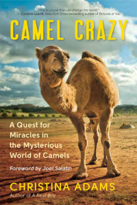 Cover image: Camel Crazy 9781608686483