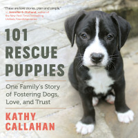 Cover image: 101 Rescue Puppies 9781608686568