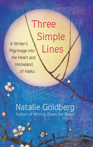 Imagen de portada: Three Simple Lines 9781608686971