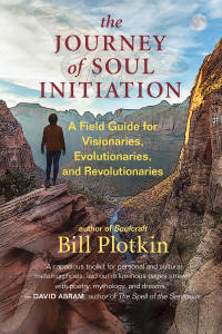 Cover image: The Journey of Soul Initiation 9781608687015