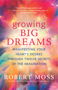 Cover image: Growing Big Dreams 9781608687046