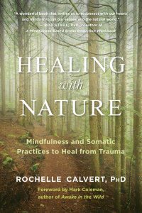 Imagen de portada: Healing with Nature 9781608687367