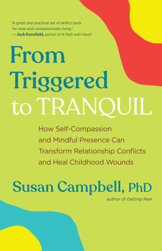 Cover image: From Triggered to Tranquil 9781608687404