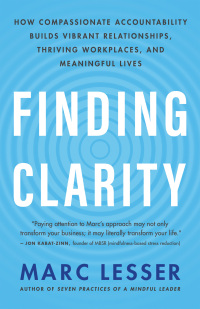 Cover image: Finding Clarity 9781608688333