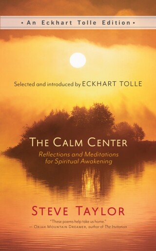 Cover image: The Calm Center 9781608689750