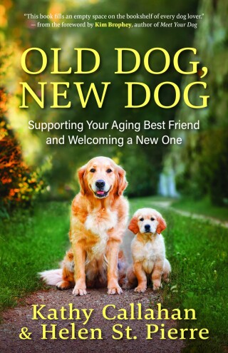 Cover image: Old Dog, New Dog 9781608689965