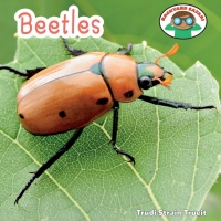 Imagen de portada: Beetles 9781608702411