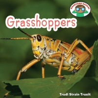 Omslagafbeelding: Grasshoppers 9781608702466