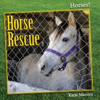 Cover image: Horse Rescue 9781608708369