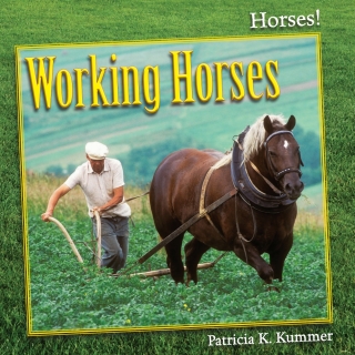 Cover image: Working Horses 9781608708406