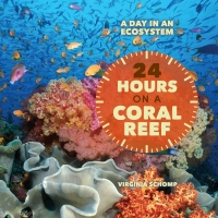 Cover image: 24 Hours on a Coral Reef 9781608708925