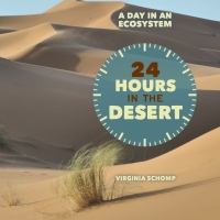 صورة الغلاف: 24 Hours in the Desert 9781608708932
