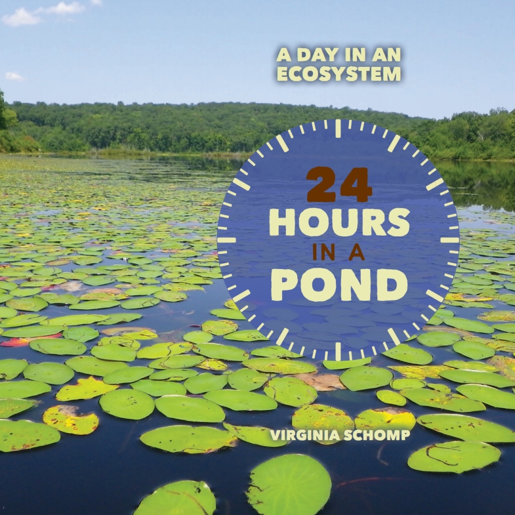 24 Hours in a Pond eBook