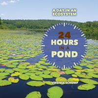 Imagen de portada: 24 Hours in a Pond 9781608708949