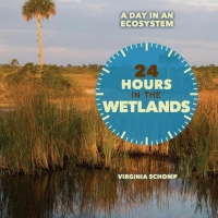 Cover image: 24 Hours in the Wetlands 9781608708970