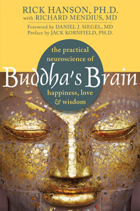 Cover image: Buddha's Brain 9781572246959