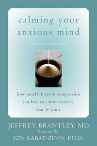 Cover image: Calming Your Anxious Mind 2nd edition 9781572244870