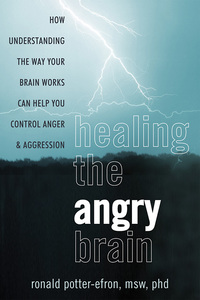 Imagen de portada: Healing the Angry Brain 9781608821334