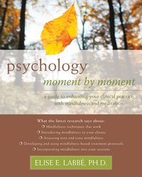 Imagen de portada: Psychology Moment by Moment 9781572248953