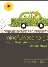 Omslagafbeelding: Mindfulness to Go 9781572249899