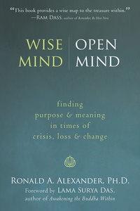 Cover image: Wise Mind, Open Mind 9781572246430