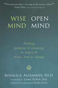 Imagen de portada: Wise Mind, Open Mind 9781572246430