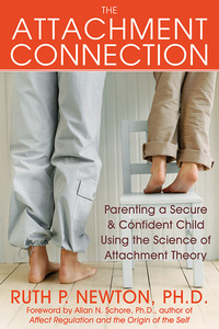 Cover image: The Attachment Connection 9781572245204