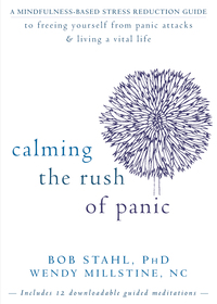 Cover image: Calming the Rush of Panic 9781608825264