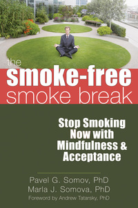 Cover image: The Smoke-Free Smoke Break 9781608820016