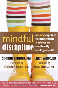 Imagen de portada: Mindful Discipline 9781608828845