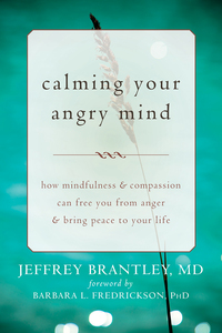 Cover image: Calming Your Angry Mind 9781608829262