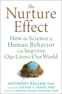 Cover image: The Nurture Effect 9781608829552