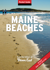 Omslagafbeelding: Maine Beaches 9781608930449