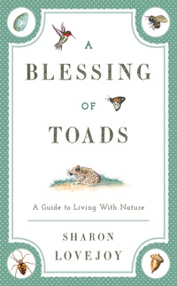 Omslagafbeelding: A Blessing of Toads 9781608933594