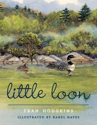 Cover image: Little Loon 9781608933723