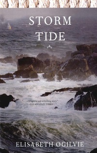 Immagine di copertina: Storm Tide 9781608934881